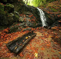 Fototapeta premium A waterfall and log in autumn in a temperate rain forest