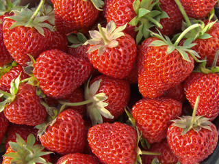 strawberries