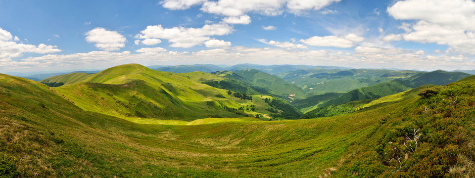 Valley in Carpathian mountains
