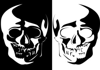 Series. Vector image of a human skull