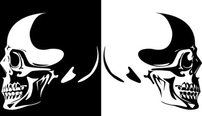 Series. Vector image of a human skull