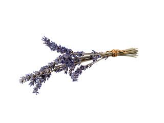 lavender flower