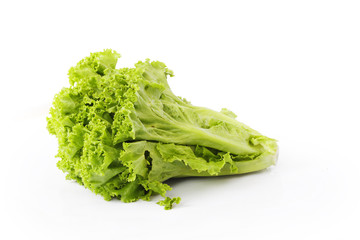 Lettuce on a white background