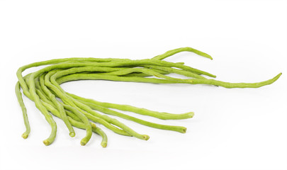 Bean on white background