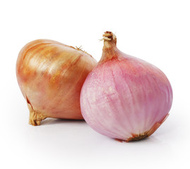 Onion on a white background