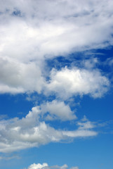 Wolken