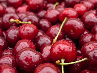 sweet red cherry background