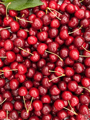 sweet red cherry background
