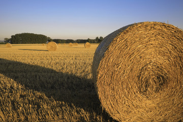 Straw bales