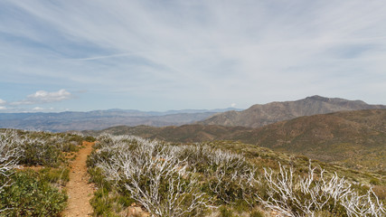 Pacific Crest Trail in Anza-Borrego Desert State Park, Californi