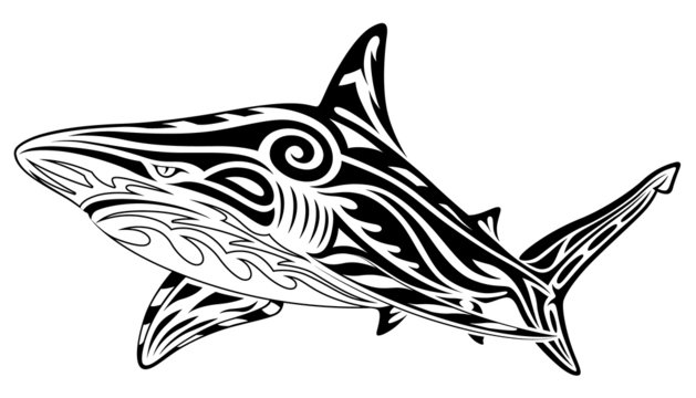 Shark, tribal tattoo