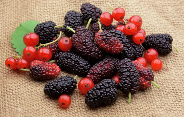 sweet mulberry and red currants