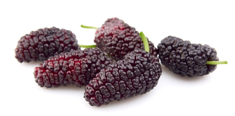 sweet mulberry