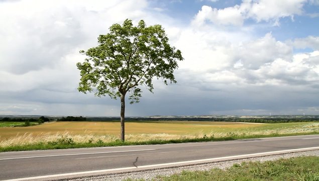 St&uuml;rmische Landschaft