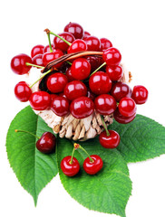 Cherries in a basket on green leaf