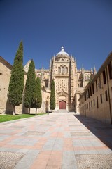 pedestrian street to Salamanca cathedral