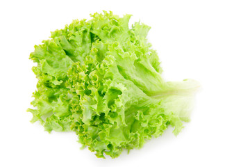 Fresh salad lettuce isolated on white
