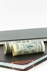 Fototapeta premium Dollar and Yen Currencies on Ledger Book