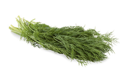 Dill.