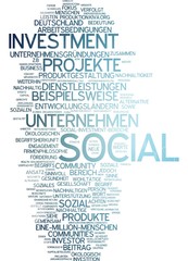 Social Investment
