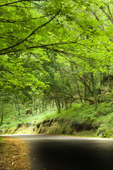 Road mountain at the Portuguese National Park