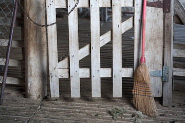 Shearing Shed