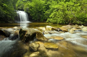 A rain forest waterfall and stream © mtilghma