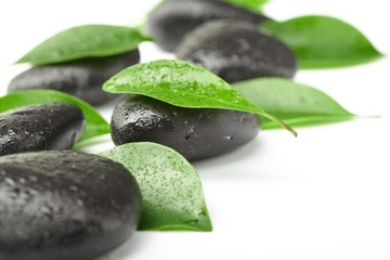 Obraz na płótnie Canvas black stones and green leaves