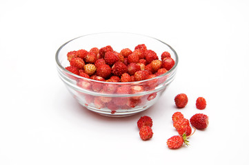 wild strawberries