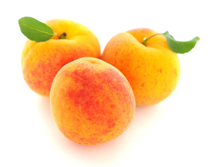 ripe apricots