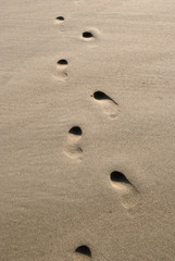Fototapeta na wymiar Footprints on sandy beach
