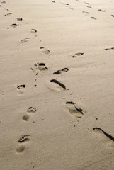 Footprints on sandy beach