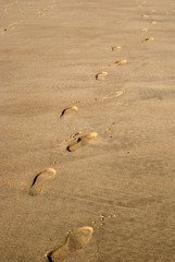 Footprints on sandy beach