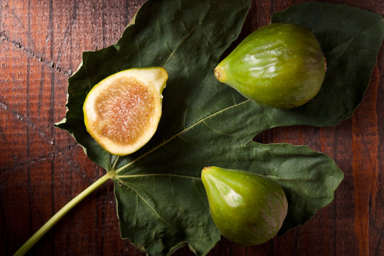 Green Figs, Fioroni