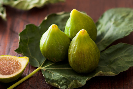 Green Figs, Fioroni