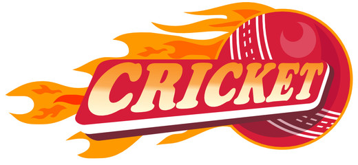 cricket sports ball flames