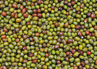 Green beans background