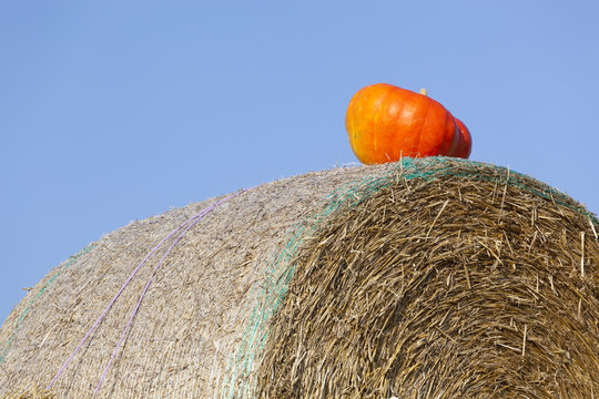 K&uuml;rbis auf Strohballen