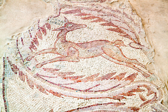 Beautiful Floor mosaics in Madaba, Jordan