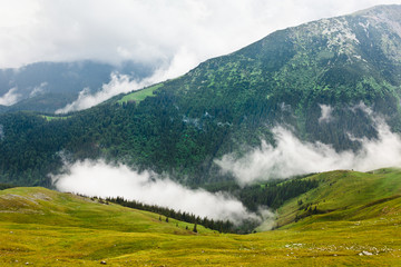 Fototapeta na wymiar Landscape with Parang mountains in Romania