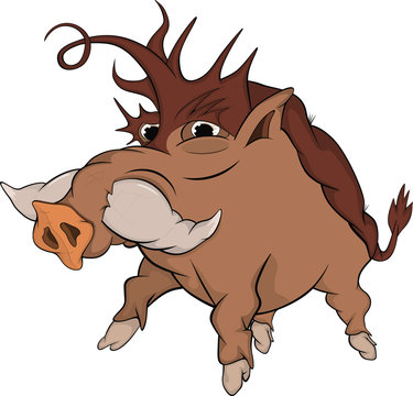 Wild boar. Cartoon
