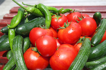 ripe vegetables at the market