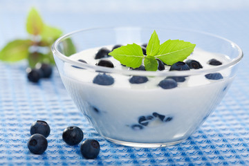 yogurt with fresh blueberry