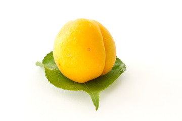 apricot