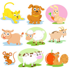 pet cartoon set