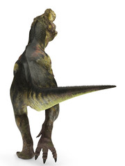 Fototapeta premium tyrannosaurus rex casual walk back view