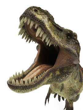 tyrannosaurus rex t-rex