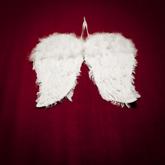 angel's wings on red velvet background