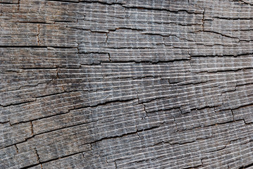 Fototapeta premium zerissenes holz