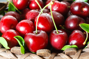 Fresh cherries